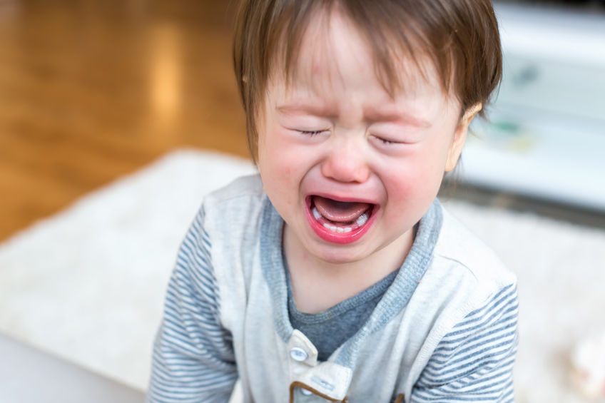 Help! My Toddler is Screaming a Lot!