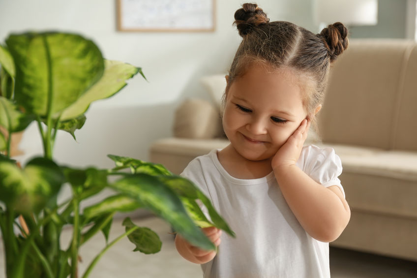 Little girl playing with houseplant at home