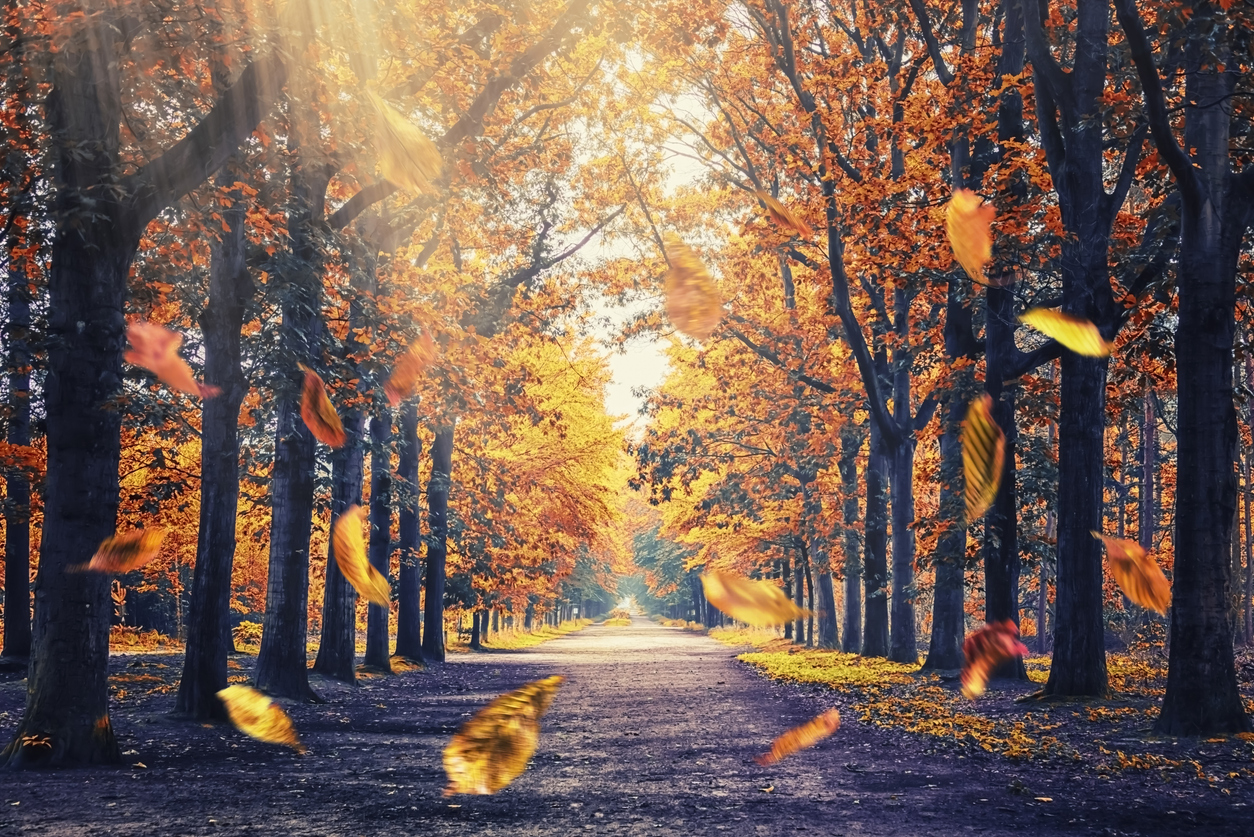 Holiday Survival Guide for Parents: 7 Ways to Find Joy and Reduce Stress