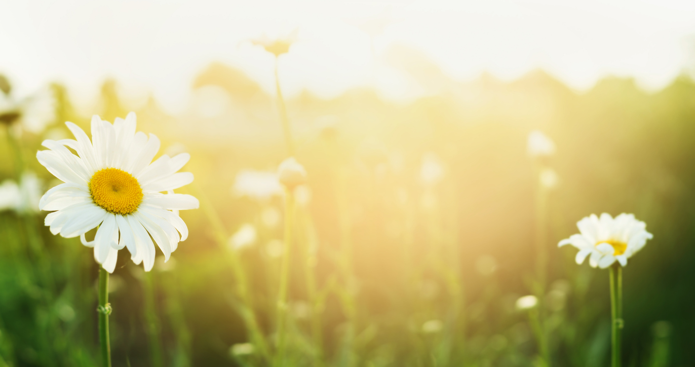 The Power of Doing Less: Simple Summer Traditions That Build Connection
